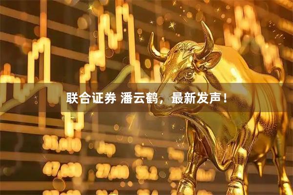 联合证券 潘云鹤，最新发声！