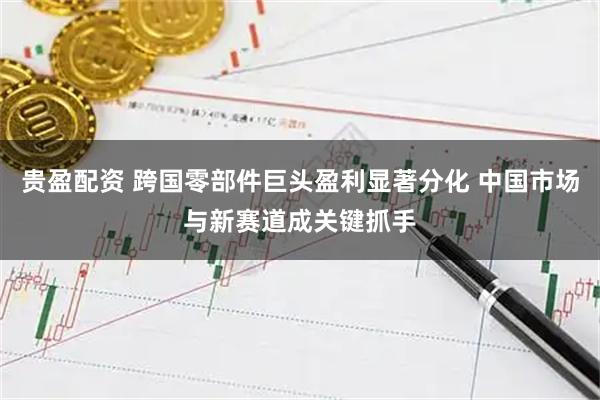 贵盈配资 跨国零部件巨头盈利显著分化 中国市场与新赛道成关键抓手