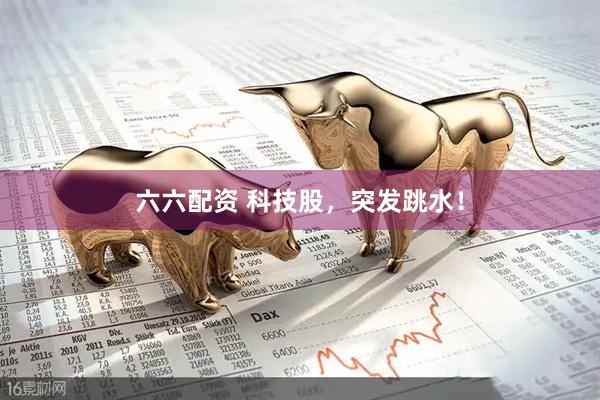 六六配资 科技股，突发跳水！
